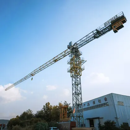 Price Advantage Light Climbing Tower Crane for Construction Works