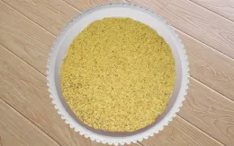 Degossypolized Cottonseed Protein