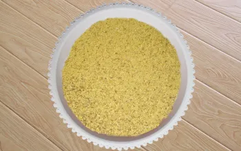 Degossypolized Cottonseed Protein