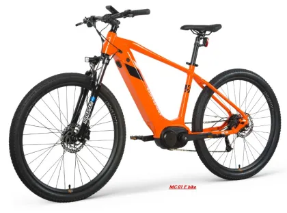 EU Warehouse Mens Electric Bike