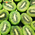Boerderij groothandel hoog niveau OEM kiwi fruit