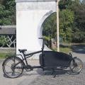 cargo ebike con sospensione 2 ruote urbane ebike