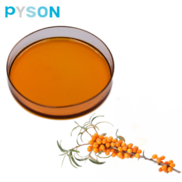 น้ำมันทะเล buckthorn บริสุทธิ์จากธรรมชาติ 100%