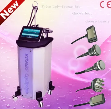 The Newest Freeze Fat Beauty Equipment