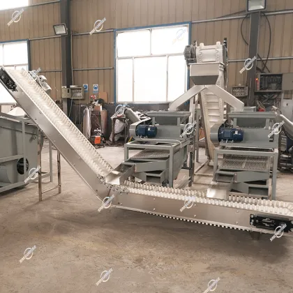 Hot Sale Automatic Nut Processing Plant Equipment: Breaking, Shelling & Cracking Machines for Hazelnuts, Pecans & Almonds