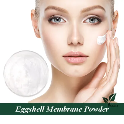 Egg Shell Membrane Powder Bulk