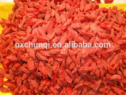 2015 New Harvest, top quality, goji berry dried fruit