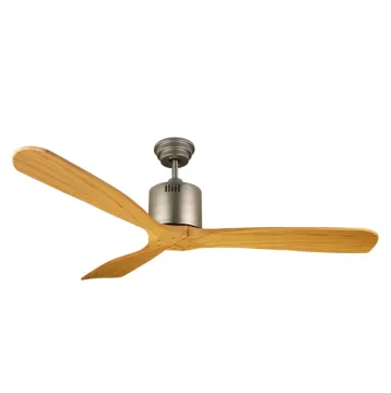 Quiet Indoor DC Ceiling Fan