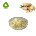 Ginger Root Extract Gingerol Water Solubility Anti-oxidant