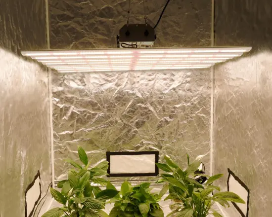 New Model Led Grow Light 640W