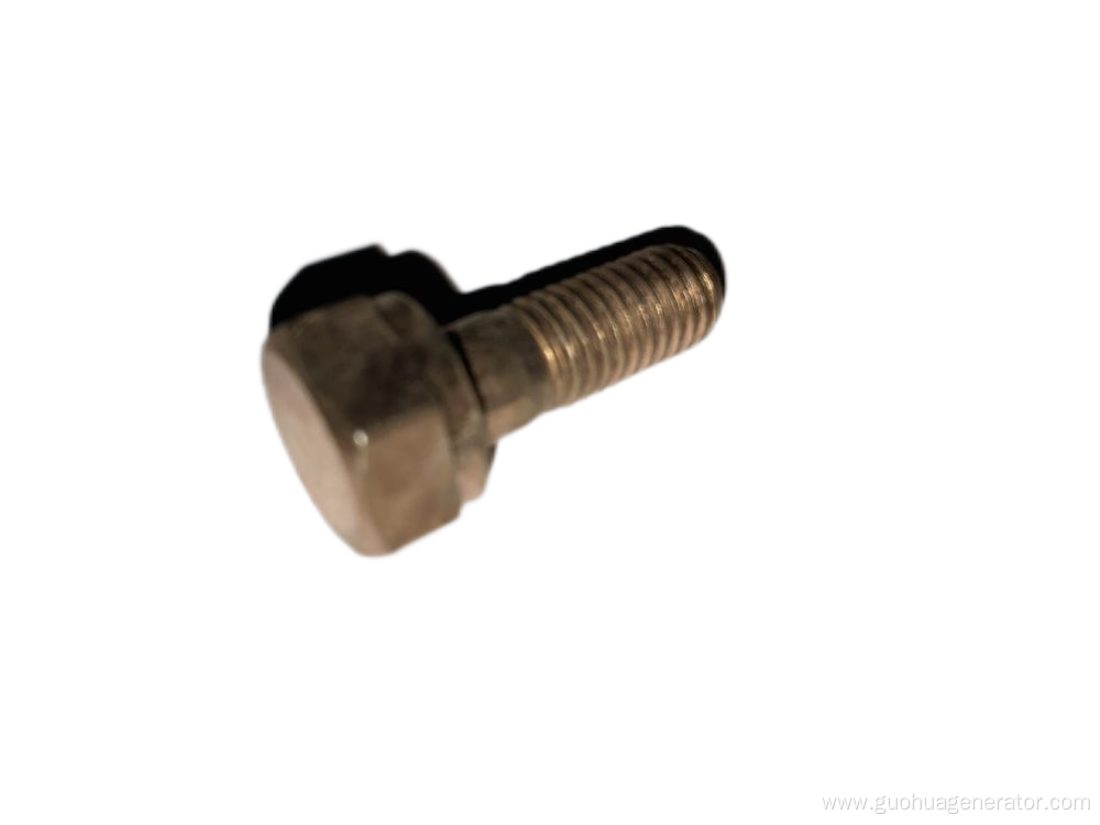 Engine Parts Cylinder Head Exhaust Port Screw