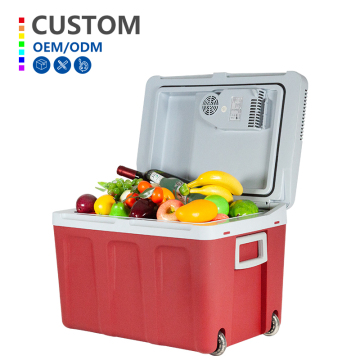 Portable 45 Liter 12V/240V Thermo Electric Camping and Beach Fridge