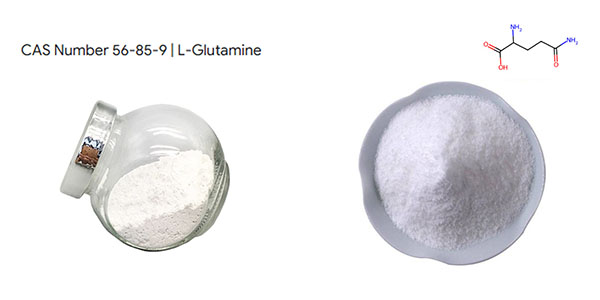 CAS 56-85-9 L-Glutamine Supplier