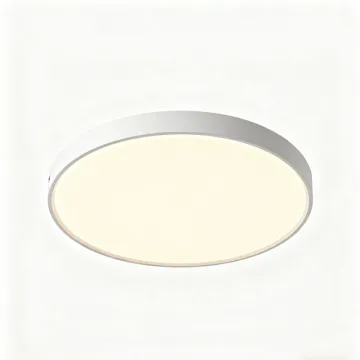 Modern Round LED Ceiling Lights for Home Decor