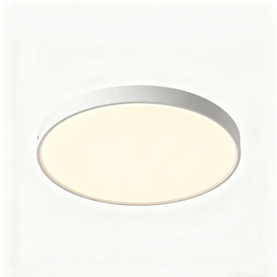 Modern Round LED Ceiling Lights for Home Decor
