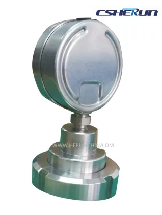 Diaphragm Seal Systems with Pressure Gauge