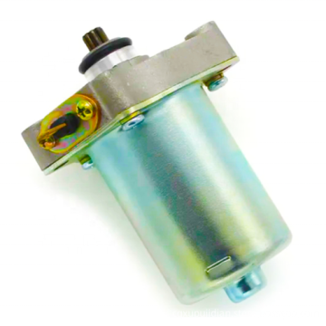 Electric ATV, Dirtbike, and Motorcycle Starter Motor: Varieties including Icon Airrblade, Lead110, and More