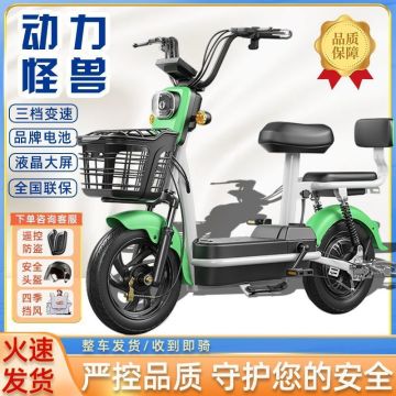 2025 New Electric Bike with National Standard Design
