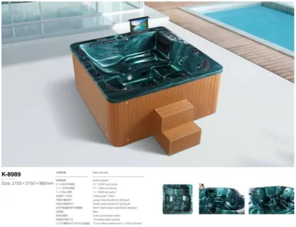 Jacuzzi avec TV et hydromasseur