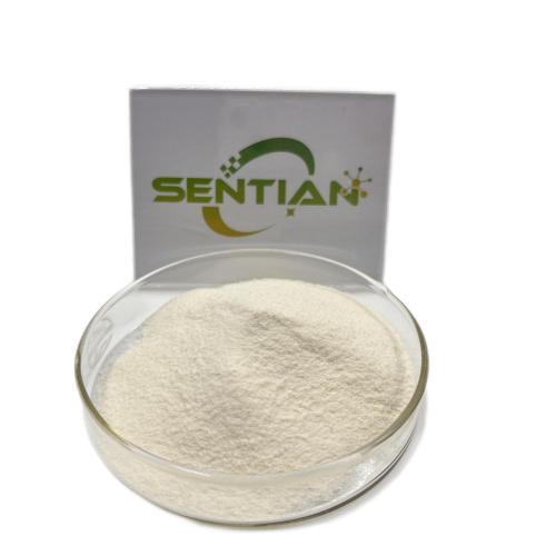 Enzadent Toothpaste with Flavor Enzymes