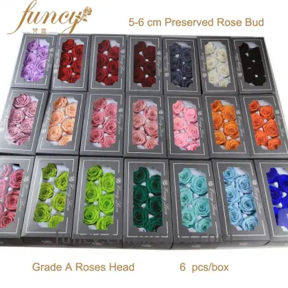 Yunnan FuncyFlora's Best 5-6cm Purple Natural Immortal Preserved Roses