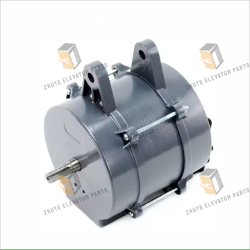 Wittur Elevator Door Motor YVP100-6 -Good Service 7Witturエレベータードアパーツ