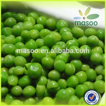 Peas of green peas/garden peas from China origin