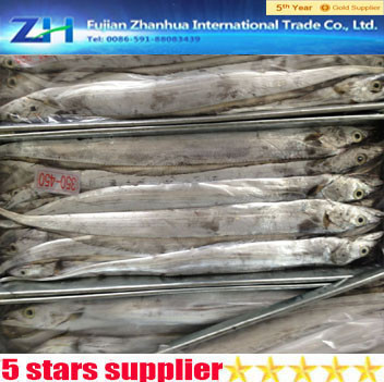 frozen ribbon fish(hairtail,belt fish) in stock