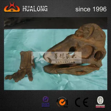 dinosaur museum high simulaiton dinosaur skull skeleton
