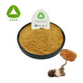 Tiger Milk Mushroom Powder Lignoso Rhinocerus Extrato