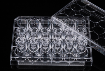 PC Memberane Cell Culture Inserts สำหรับแผ่น 24 หลุม