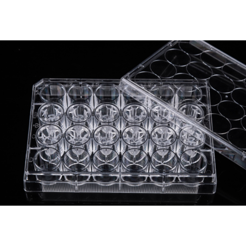 PC Memberane Cell Culture Inserts untuk plat 24-baik