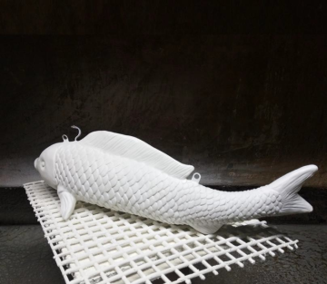 Simulation Fish A Lights