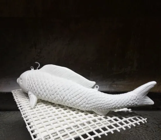 Simulation Fish A Lights