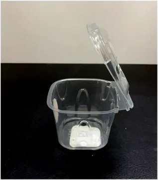 Hot Sale Transparent Mini 50G Blueberries Clamshell