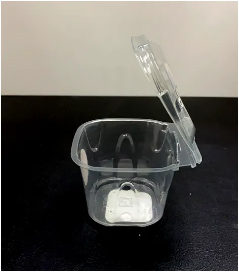 Hot Sale Transparent Mini 50G Blueberries Clamshell