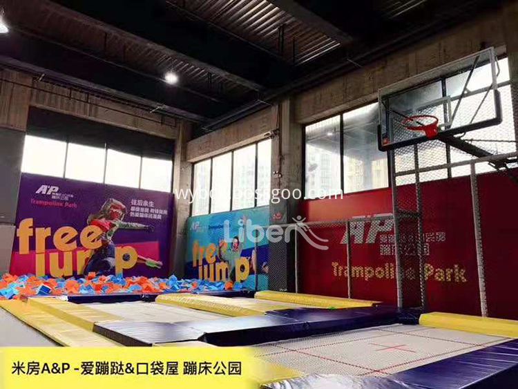 Professonal Trampoline with Basketball