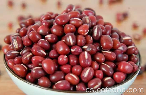 Frijoles rojos pequeños secos