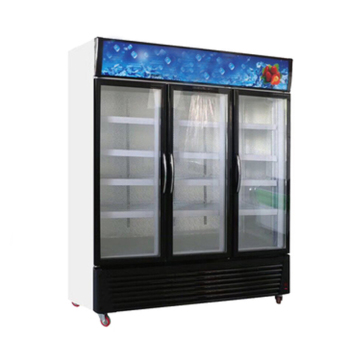 Commercial Single Temperature Glass Door Fridge for Beer, Wine, and Drinks