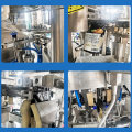 Automatic Mixed Dry Fruit Packing Machine for Dried Pineapple, Mango, Prunes & Apricots