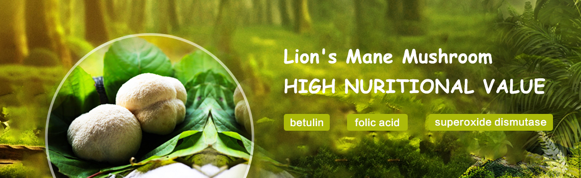 how to eat lion's mane mushroom powder