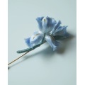 /msite/products/detail/productid/68305057/id/1704599.html