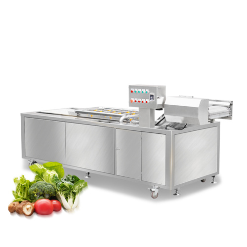 Fruit and Veg Washing Machine Industrial vegetable washer Fruit and veg washing machine Supplier