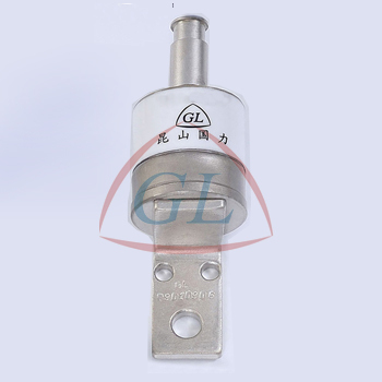 Vacuum Switching Tubes (TJ-1.14/80B)