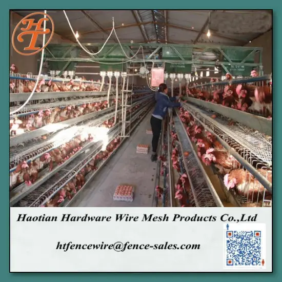 4 tiers chicken cages