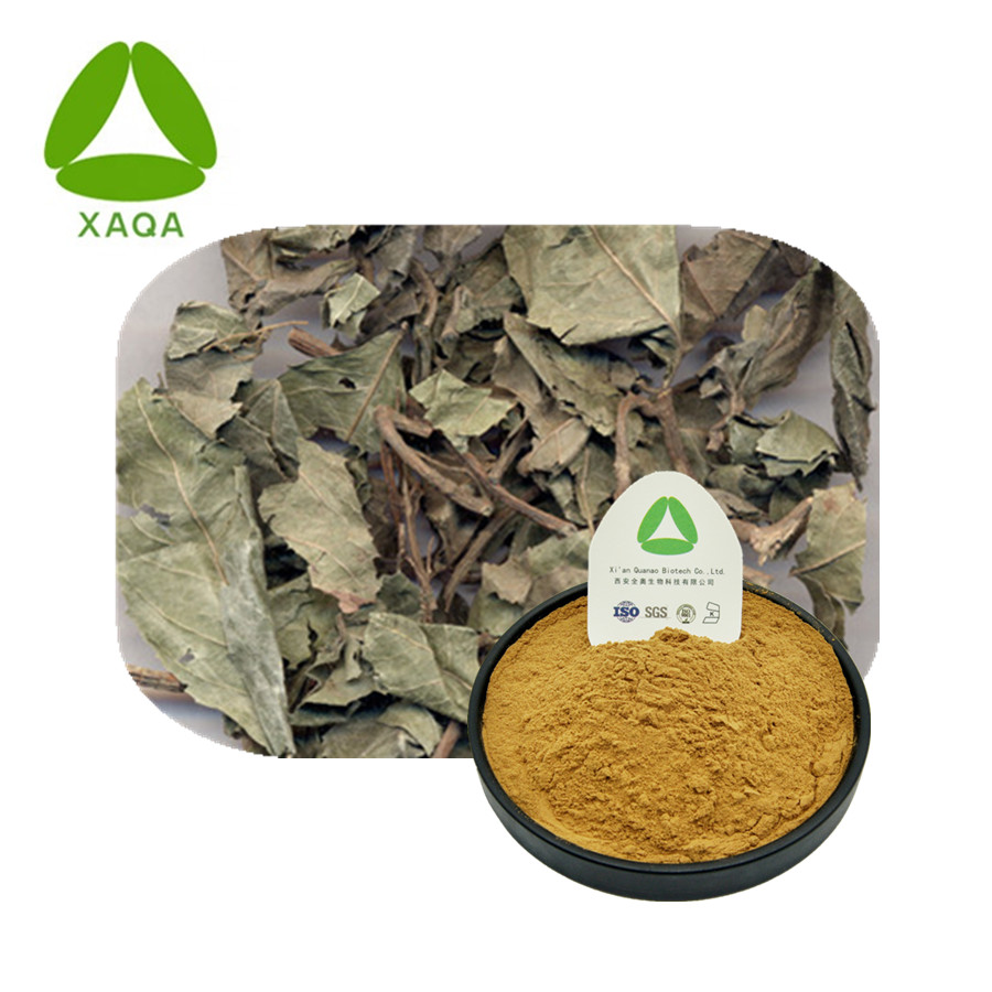 Dwarf Tea Extract Powder Relieve A Cough