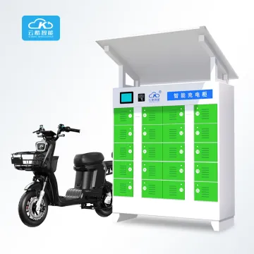 Multi-Bay Battery Swapping Charging Cabinet with Canopy