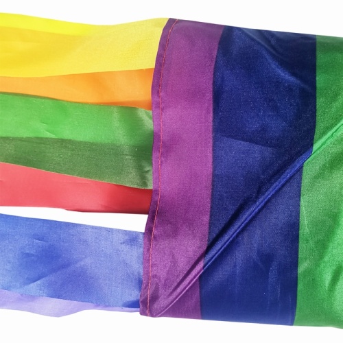 Hot Product Rainbow Polyester Wind Sock Gay Pride