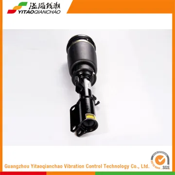 Excellent Brand Auto Parts Accessories Cheapest Pistons Absorber