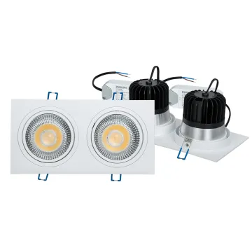 2x20W Trimless Rectangular Recessed LED Spotlight